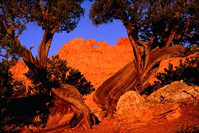 The Kissing Camels in the Garden of the Gods.  Photography by James H. Egbert
